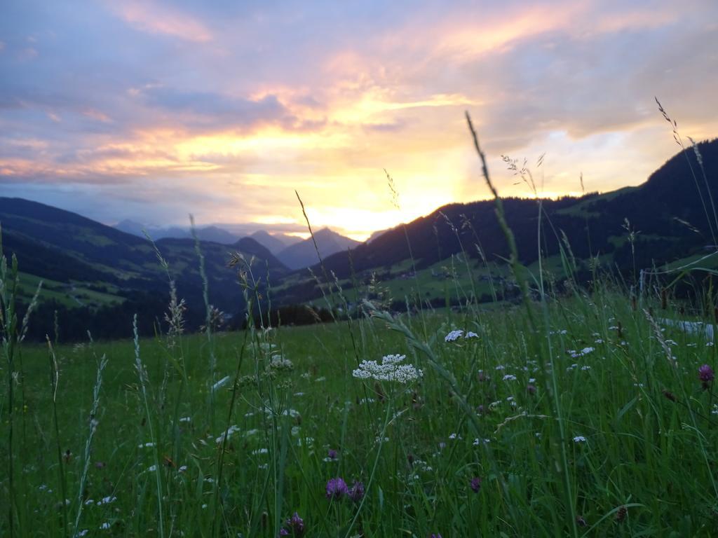 Anna'S Appartement Alpbach Exterior foto